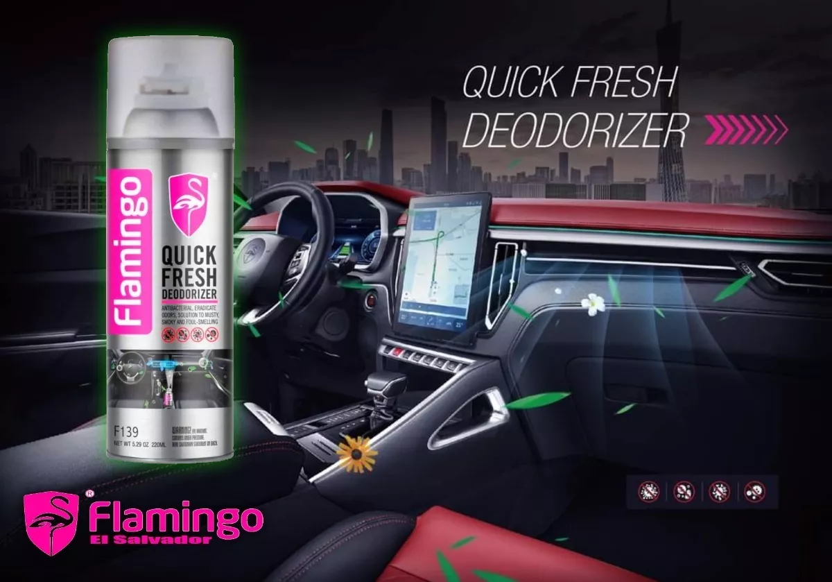 DESODORIZANTE RÁPIDO 220 ML - 2
