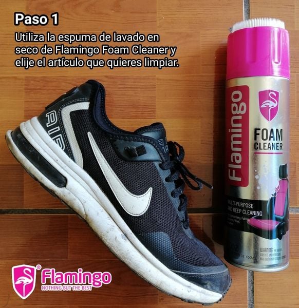 Limpia Tapiz 650 ML - 6