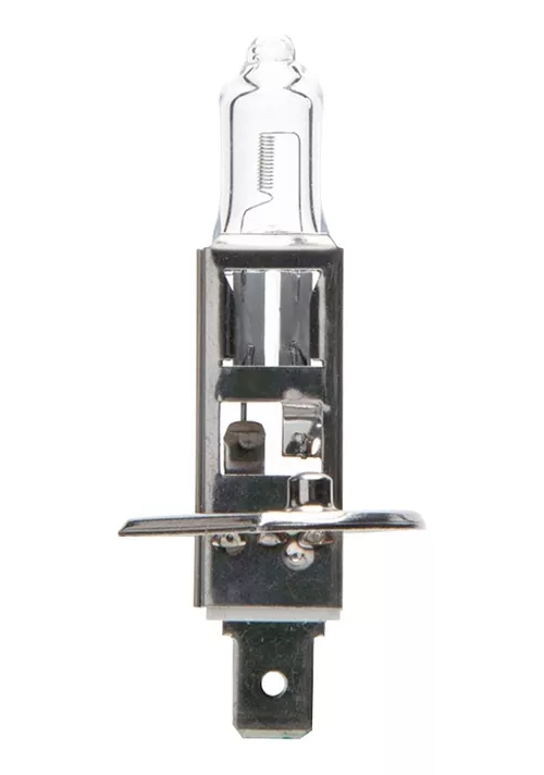 AMPOLLETA NAITE BOMBILLA HALÓGENA H1 100W 24V LUZ DÍA. - 2