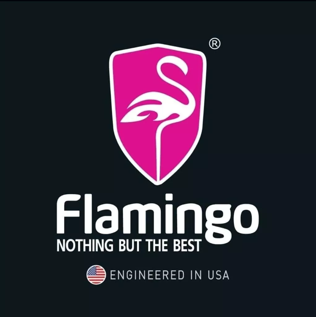 LIMPIA VIDRIOS PROFESIONAL 500 ML FLAMINGOCHILE - 4