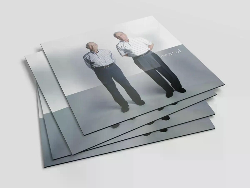 VINILO TWENTY ONE PILOTS/ VESSEL 1LP - 2