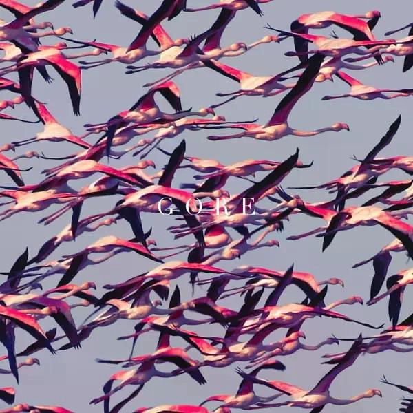 VINILO DEFTONES/ GORE 2LP - 1