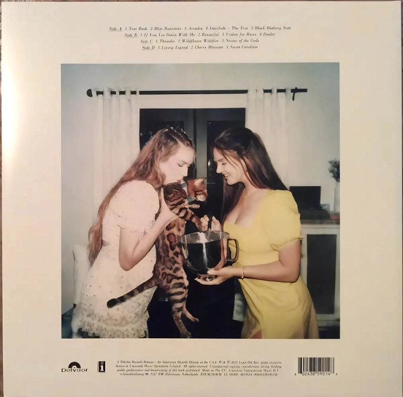 VINILO LANA DEL REY/  BLUE BANISTERS 2LP - 2