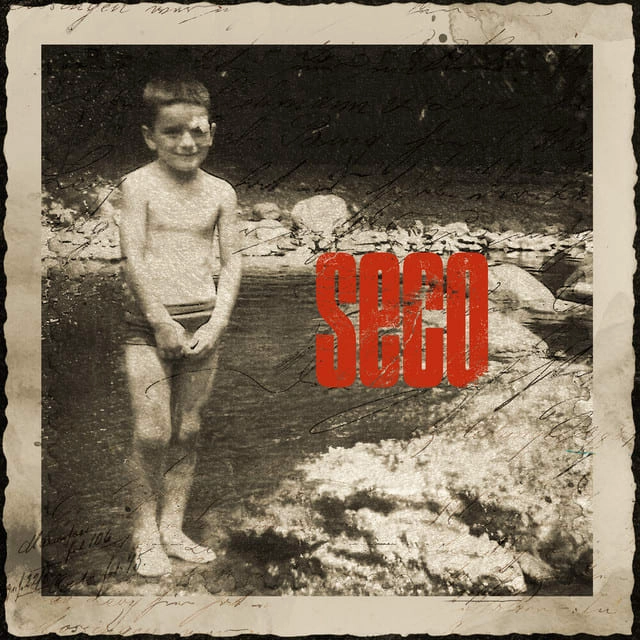 CD RICARDO ARJONA/ SECO 1CD - 1