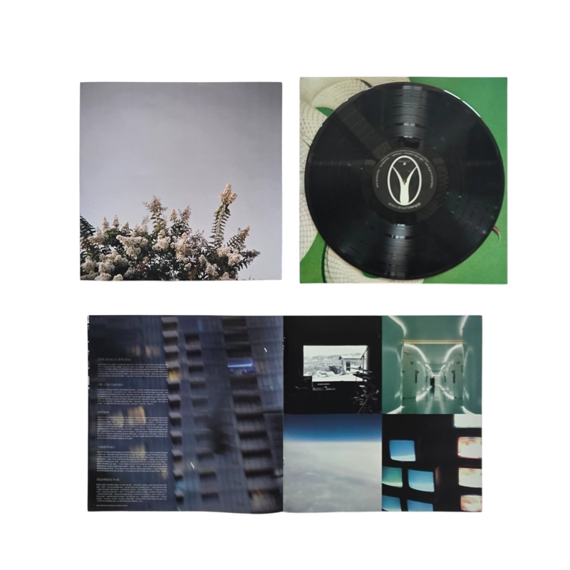 VINILO DEFTONES/ PRIVATE MUSIC 1LP - 5