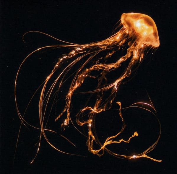 CD ROYAL BLOOD/ BACK TO THE WATER BELOW 1CD - 1