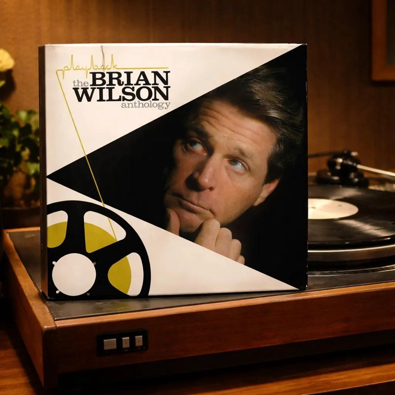 VINILO BRIAN WILSON/ PLAYBACK: THE BRIAN WILSON ANT 2LP - 3