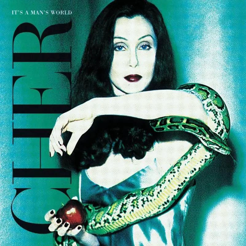 VINILO CHER/ IT'S A MAN'S WORLD 2LP - 1