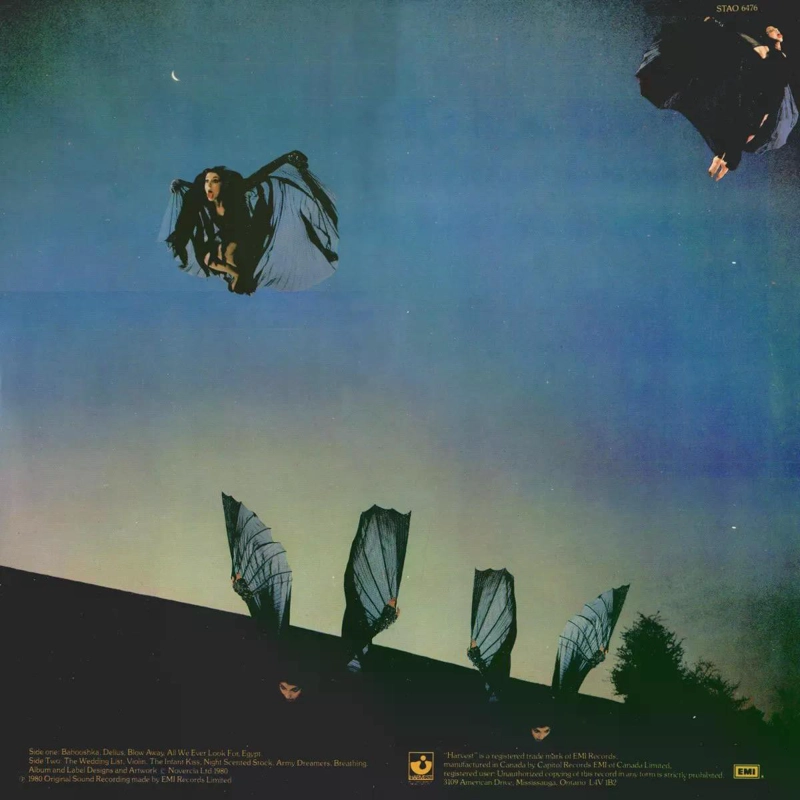 VINILO KATE BUSH/ NEVER FOREVER 1LP - 2