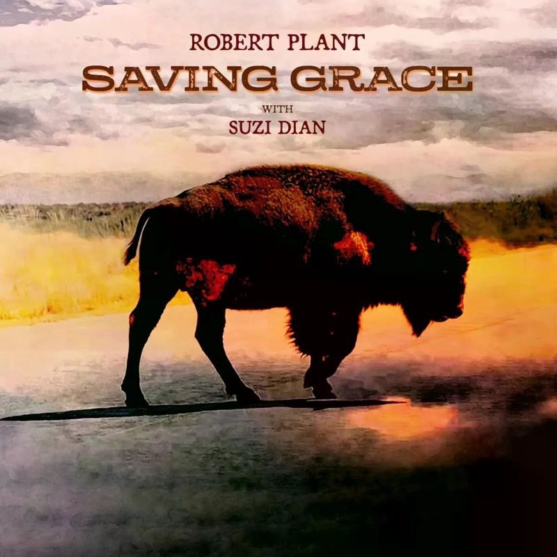 VINILO ROBERT PLANT & SUZI DIAN/ SAVING GRACE 1LP - 1