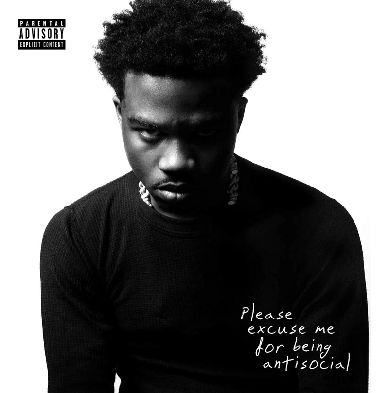 VINILO RODDY RICCH/ PLEASE EXCUSE ME FOR BEING ANT 2LP - 1