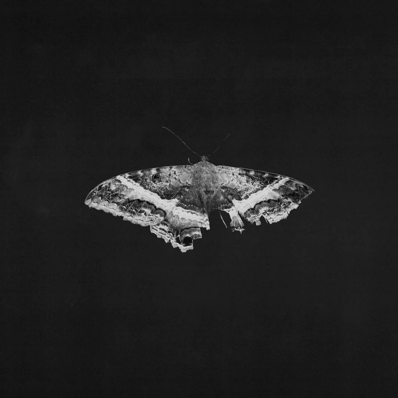 VINILO KENDRICK LAMAR/ TO PIMP A BUTTERFLY (10TH ANNIV) 2LP - 1