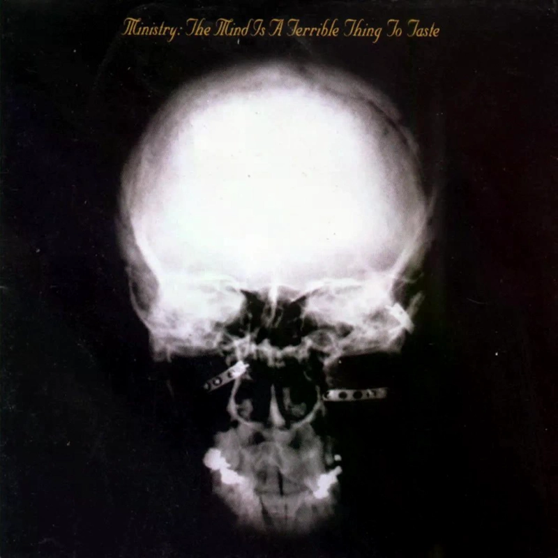 VINILO MINISTRY/ THE MIND IS A TERRIBLE THING TO TASTE 2LP - 1