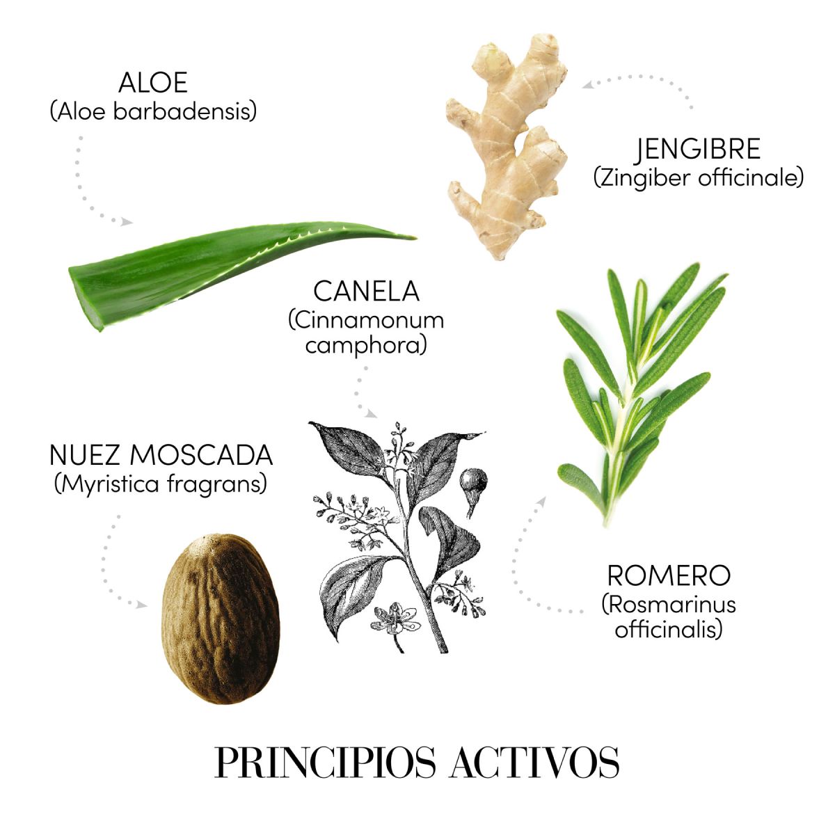 SHAMPOO MEDAVITA ANTICAÍDA 250 ML - 2
