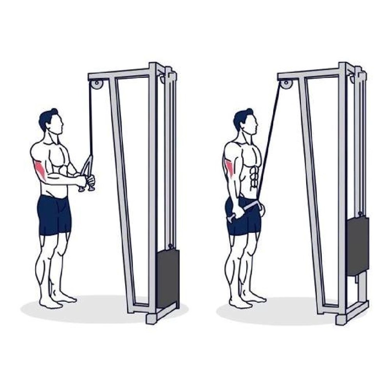 CUERDA TRICEPS DOBLE PARA POLEA NUEVO RACINESS - 2