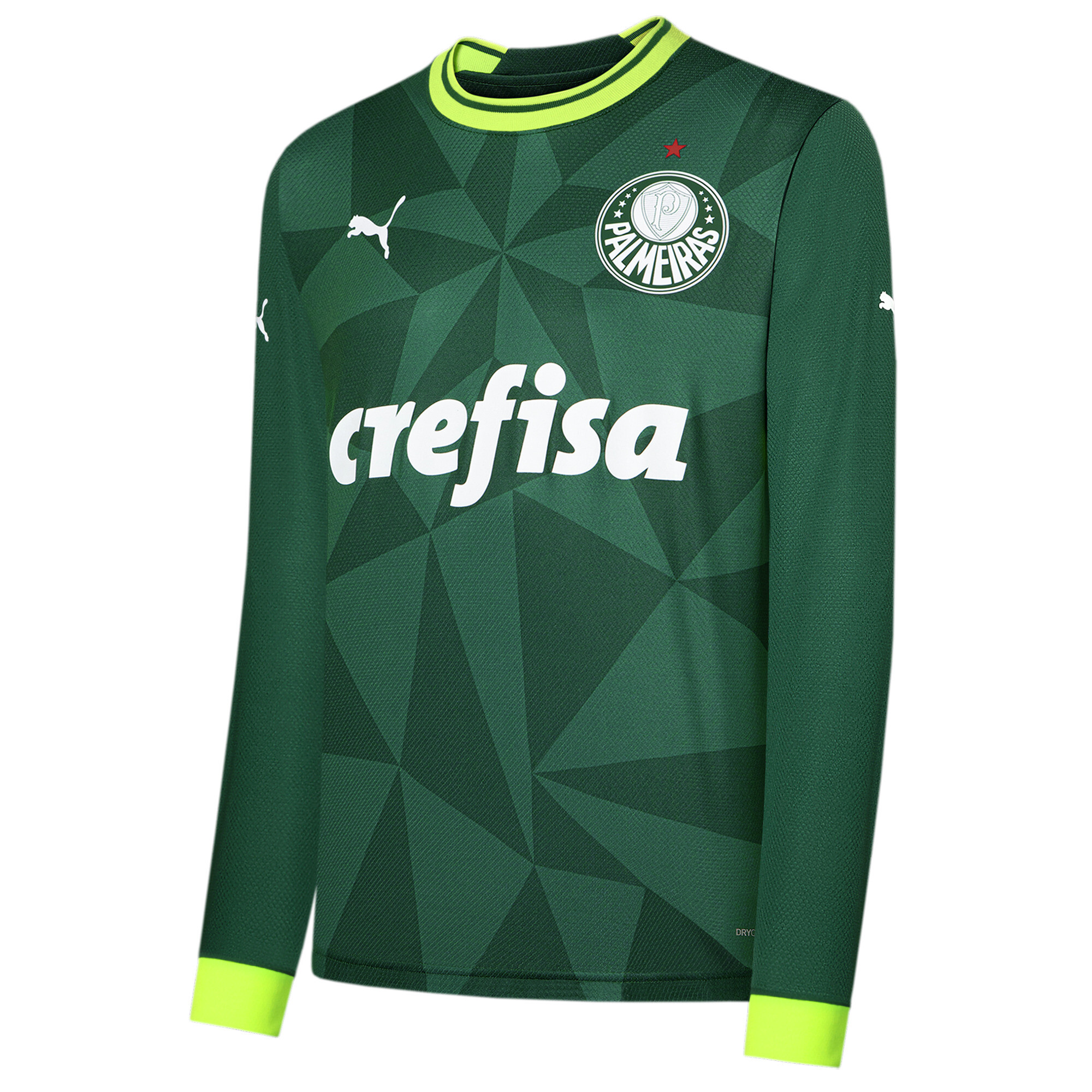 CAMISETA FÚTBOL HOMBRE PUMA PALMEIRAS 2023 2024 TITULAR MANGA LARGA - 1