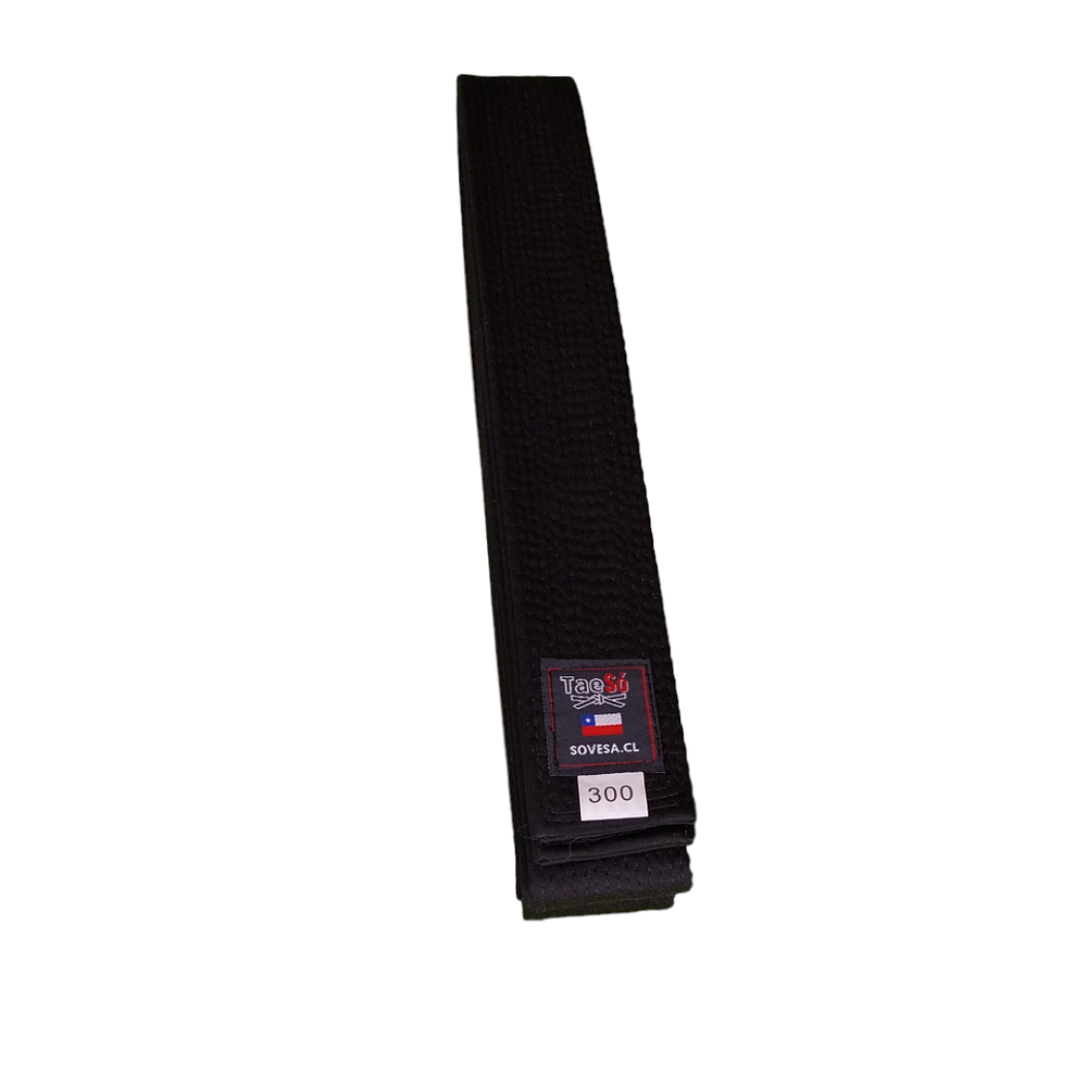 CINTURON ARTES MARCIALES ESPECIAL 300CM TAESO - 1