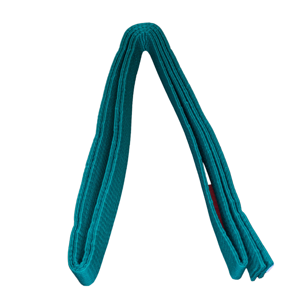 CINTURON ARTES MARCIALES 240CM TAESO VERDE - 2