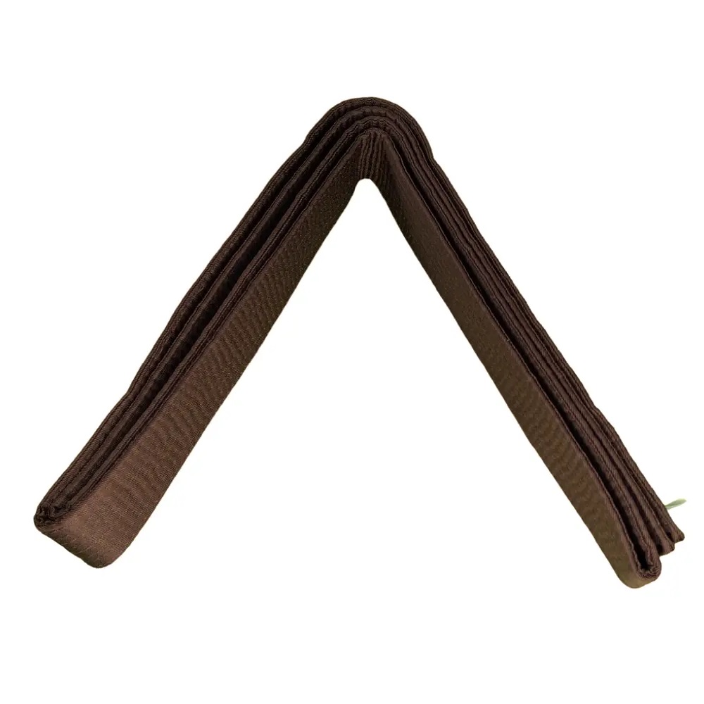 CINTURON ARTES MARCIALES 300CM TAESO CAFÉ - 2