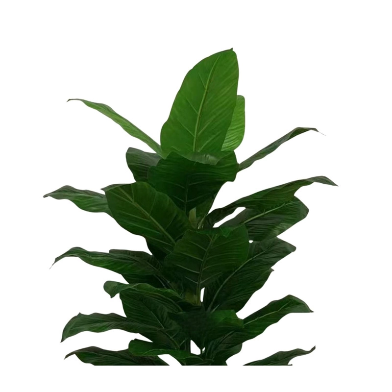 PLANTA ARTIFICIAL TIPO BANANO. ALTURA: 130CM - 3