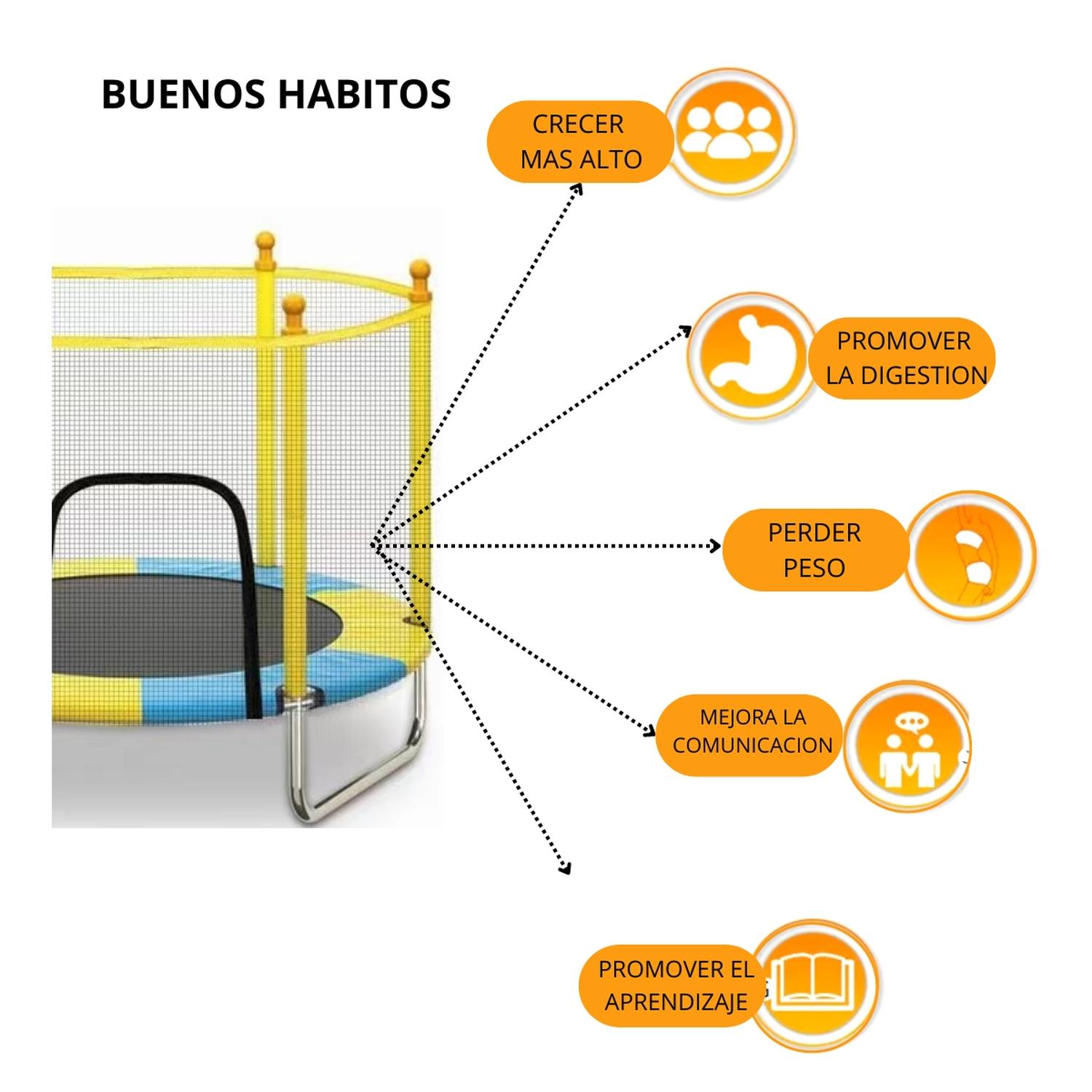 CAMA ELASTICA SALTARINA DELUXE MALLA PROTECCION TRAMPOLIN - 6
