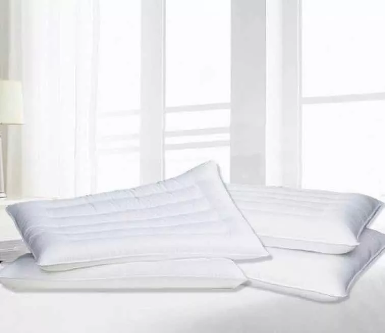 PACK X2 ALMOHADAS 100% ALGODÓN SEMILLAS DE CILANTRO 48X74 - 1