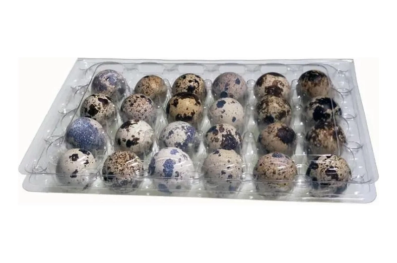 PACK 100 CAJAS BANDEJAS DE PLASTICO DE 24 HUEVOS DE CODORNIZ - 1