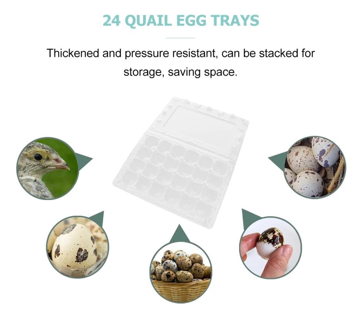PACK 100 CAJAS BANDEJAS DE PLASTICO DE 24 HUEVOS DE CODORNIZ - 7