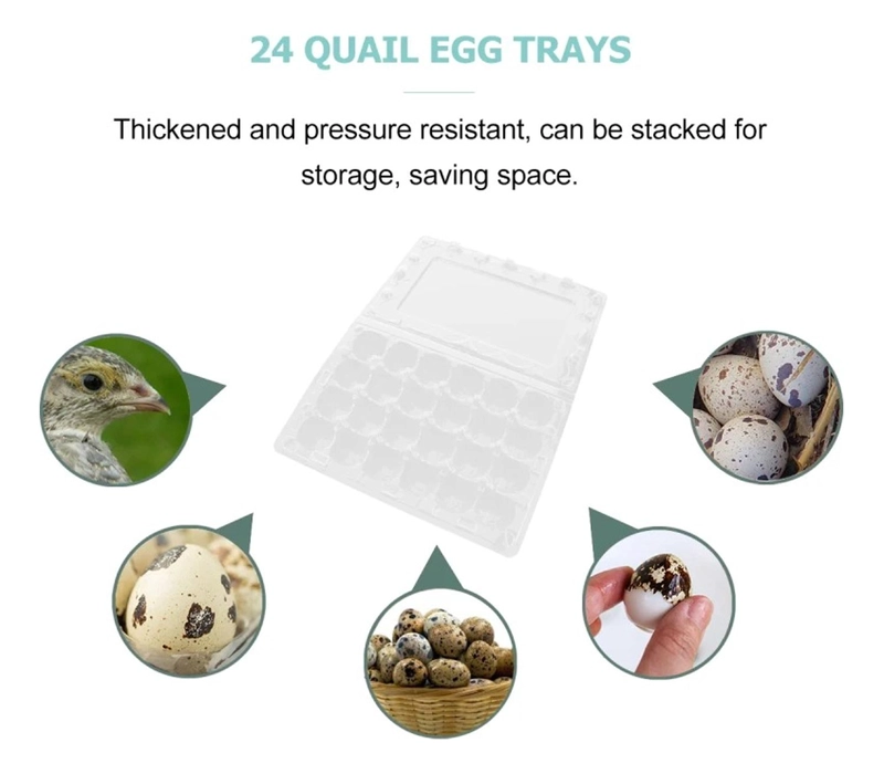 PACK 10 CAJAS BANDEJAS DE PLASTICO DE 24 HUEVOS DE CODORNIZ - 6