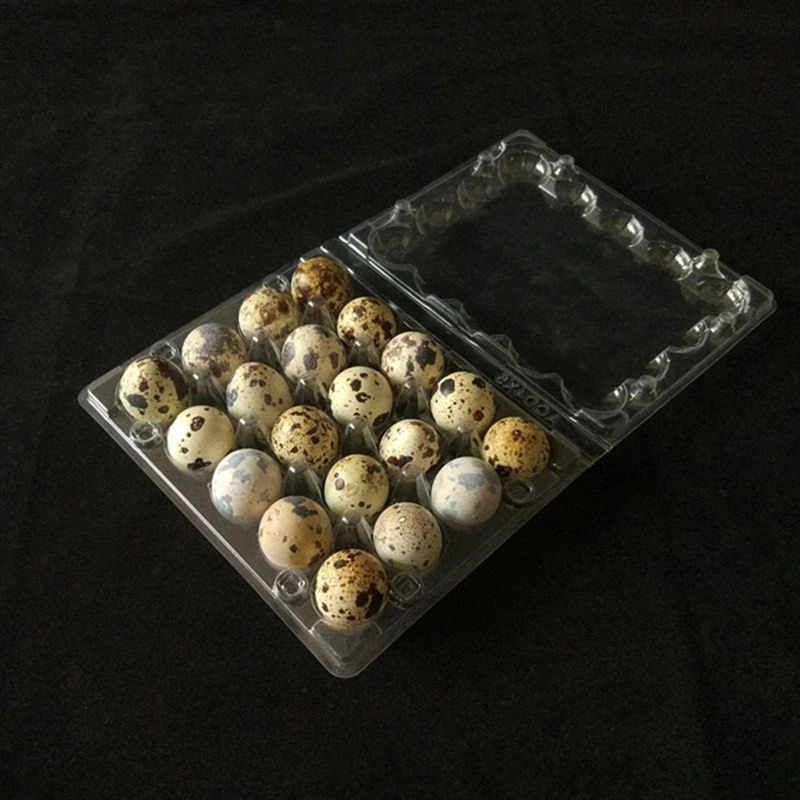 PACK 10 CAJAS BANDEJAS DE PLASTICO DE 24 HUEVOS DE CODORNIZ - 8