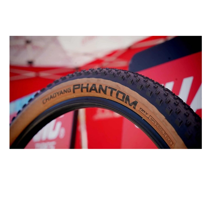 NEUMÁTICO CHAOYANG PHANTOM DRY 29X2.20 TR MTB TANWALL KEVLAR - 6