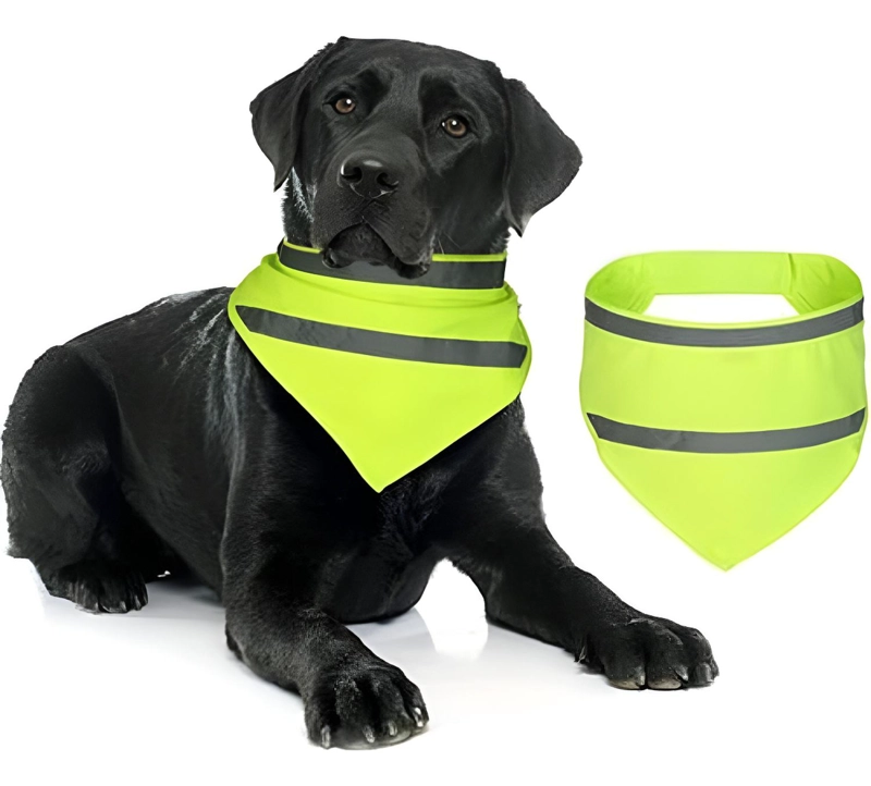 BANDANA REFLECTANTE PARA PERROS Y GATOS. PAÑOLETA DE MASCOTA S - 1