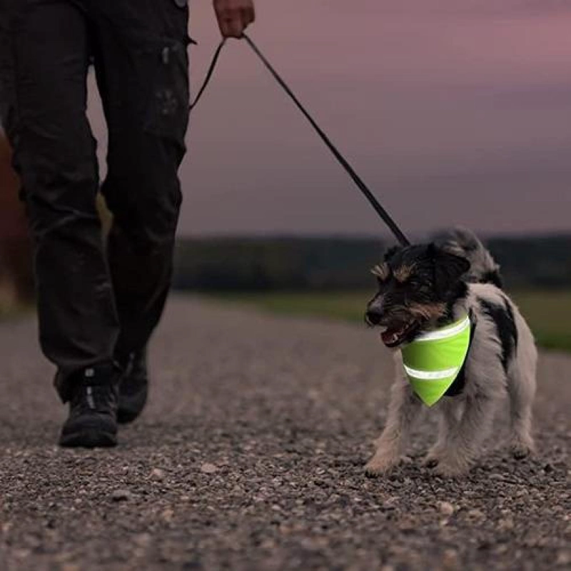 BANDANA REFLECTANTE PARA PERROS Y GATOS. PAÑOLETA DE MASCOTA S - 7