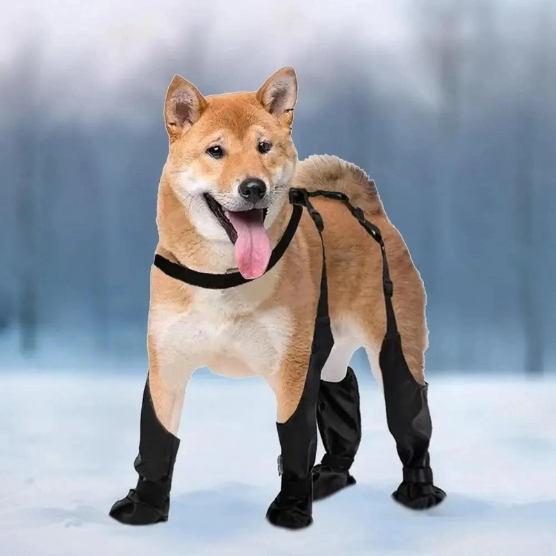 BOTAS IMPERMEABLES PERRO ANTIDESLIZANTE LLUVIA AGUA - 7