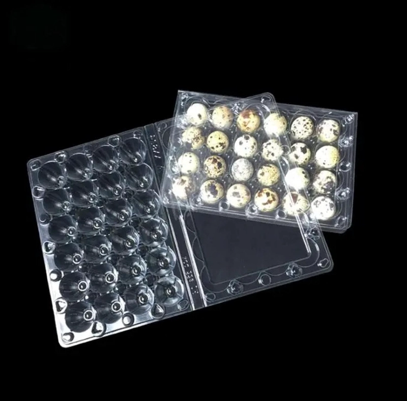 PACK 50 CAJAS BANDEJAS DE PLASTICO DE 24 HUEVOS DE CODORNIZ - 2