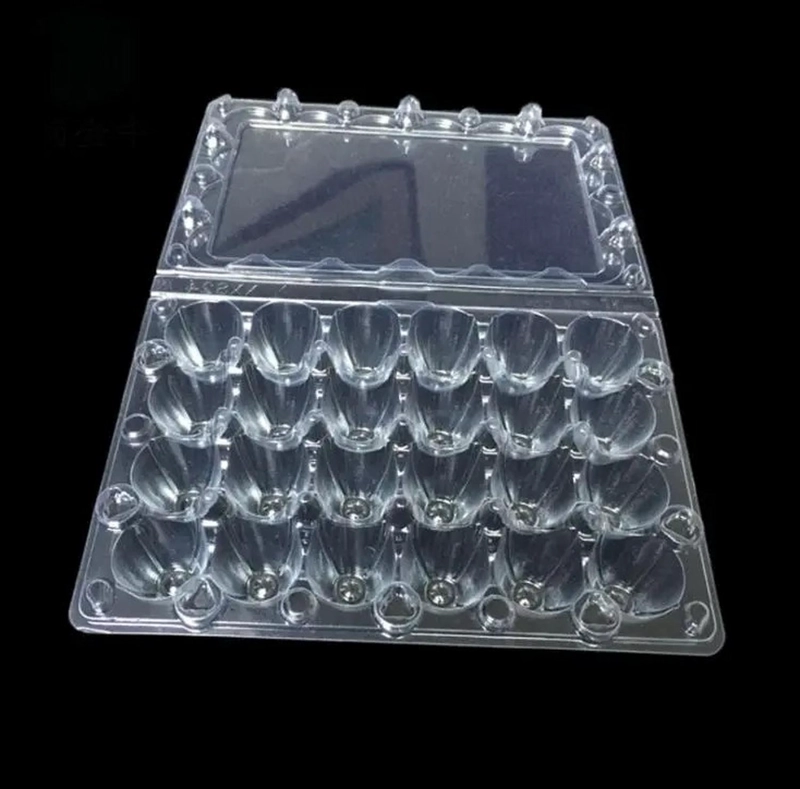 PACK 50 CAJAS BANDEJAS DE PLASTICO DE 24 HUEVOS DE CODORNIZ - 3
