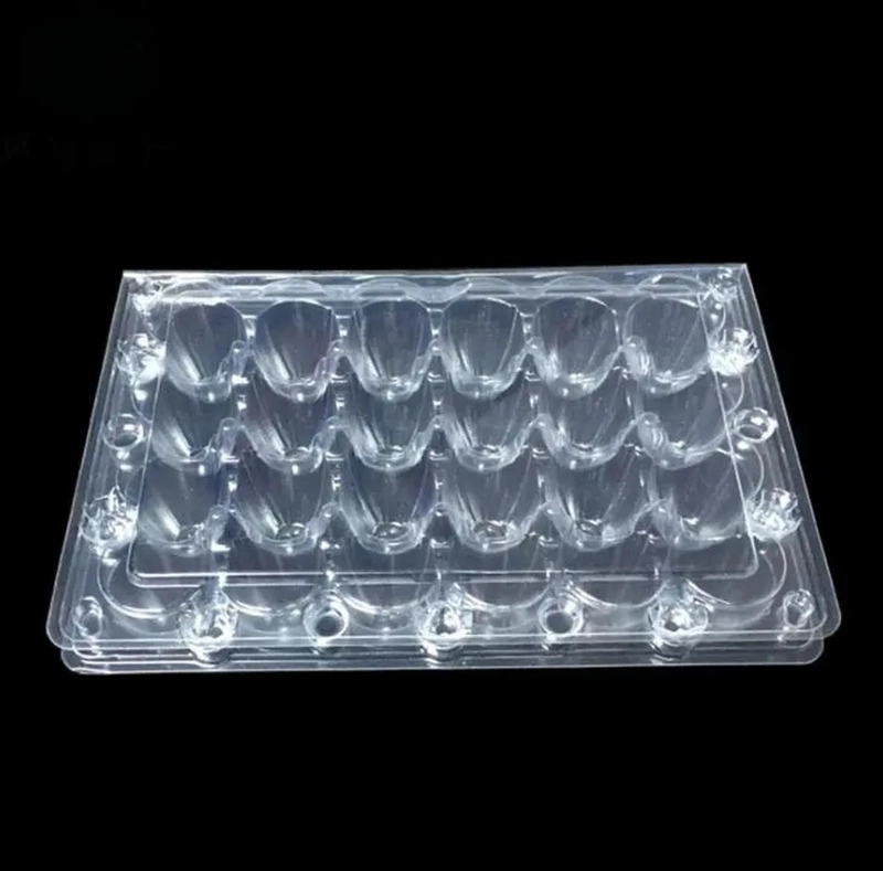 PACK 50 CAJAS BANDEJAS DE PLASTICO DE 24 HUEVOS DE CODORNIZ - 4