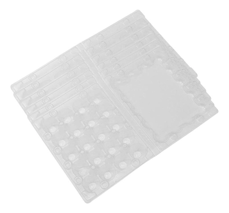 PACK 50 CAJAS BANDEJAS DE PLASTICO DE 24 HUEVOS DE CODORNIZ - 5