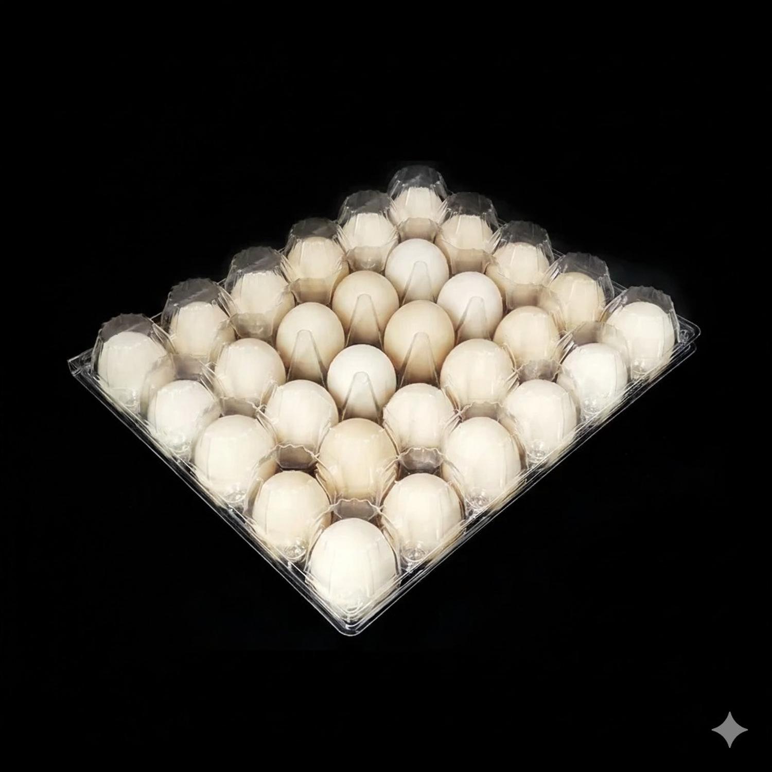 BANDEJA HUEVOS 30 UNIDADES PLASTICO PET TRANSPARENTE - 2