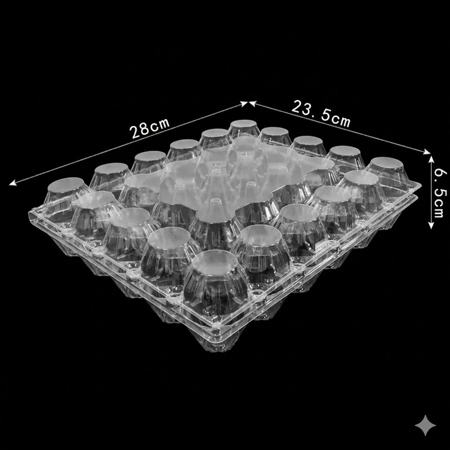 BANDEJA HUEVOS 30 UNIDADES PLASTICO PET TRANSPARENTE - 3