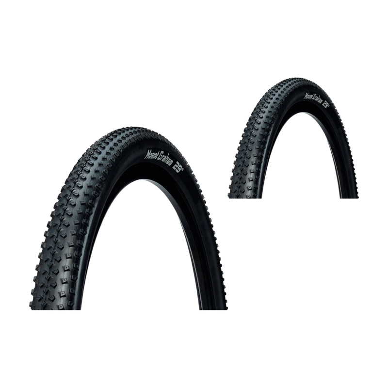 PACK 2 NEUMATICO 29X2.20 ARISUN MOUNT GRAHAM KEVLAR TR - 1
