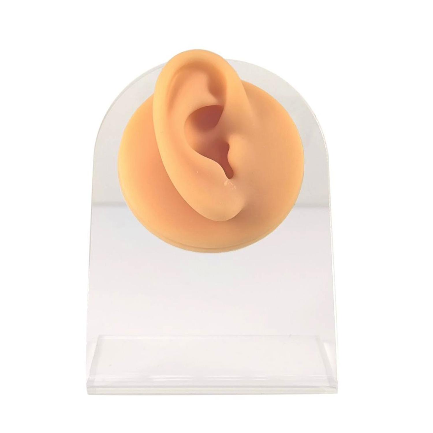 OREJA SILICONA BASE ACRÍLICA EXHIBIDOR EARPLUGS AROS AUDÍFONOS - 1