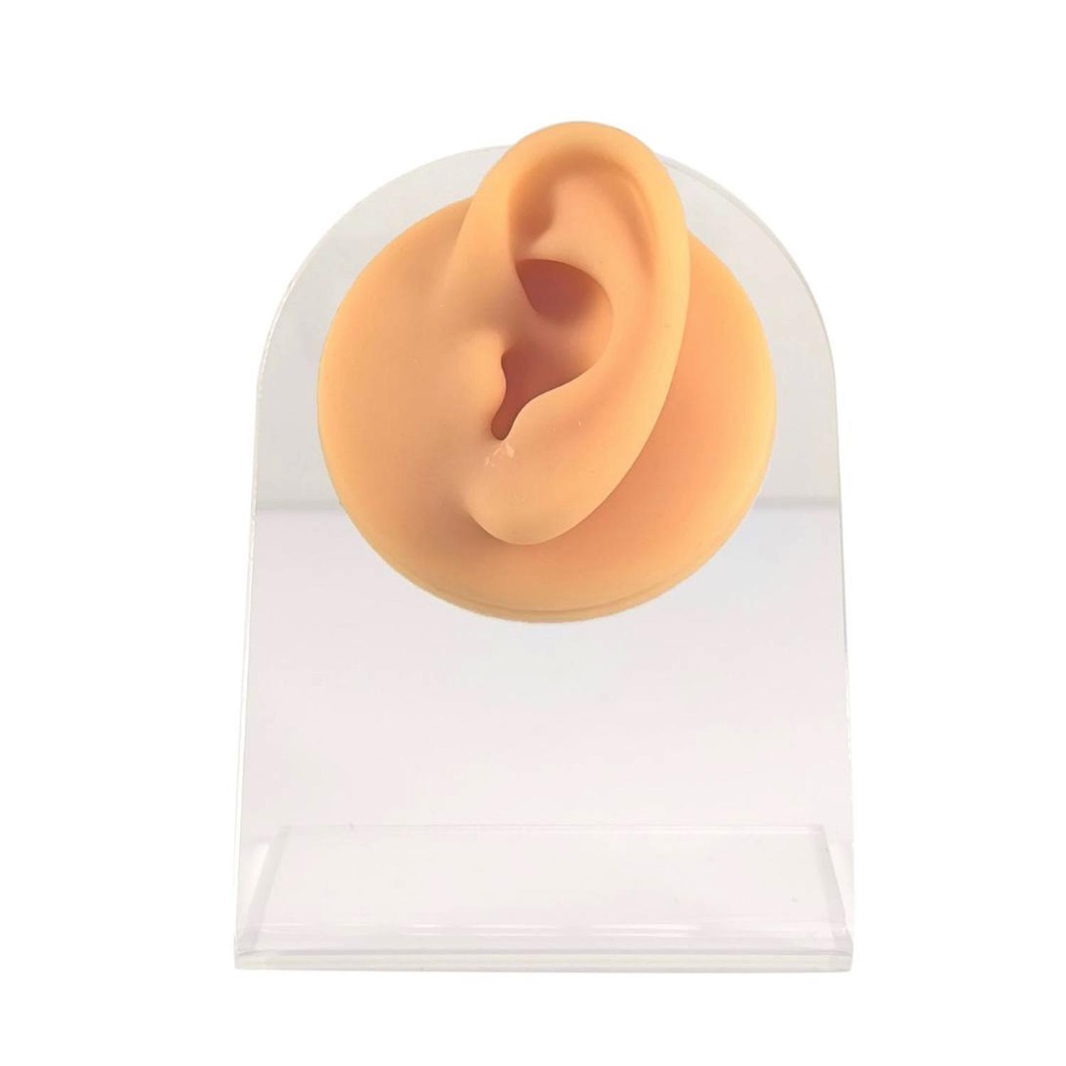 OREJA SILICONA BASE ACRÍLICA EXHIBIDOR EARPLUGS AROS AUDÍFONOS - 3