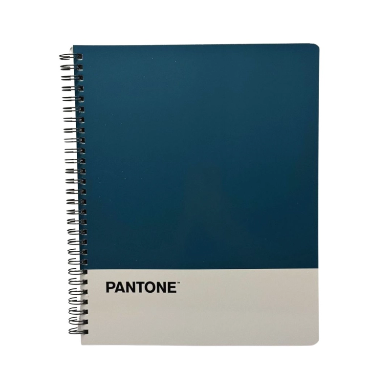 SET 10 CUADERNOS UNIVERSITARIOS 100 HOJAS CUADRICULADAS 7MM NATURE COLOR PANTONE - 2