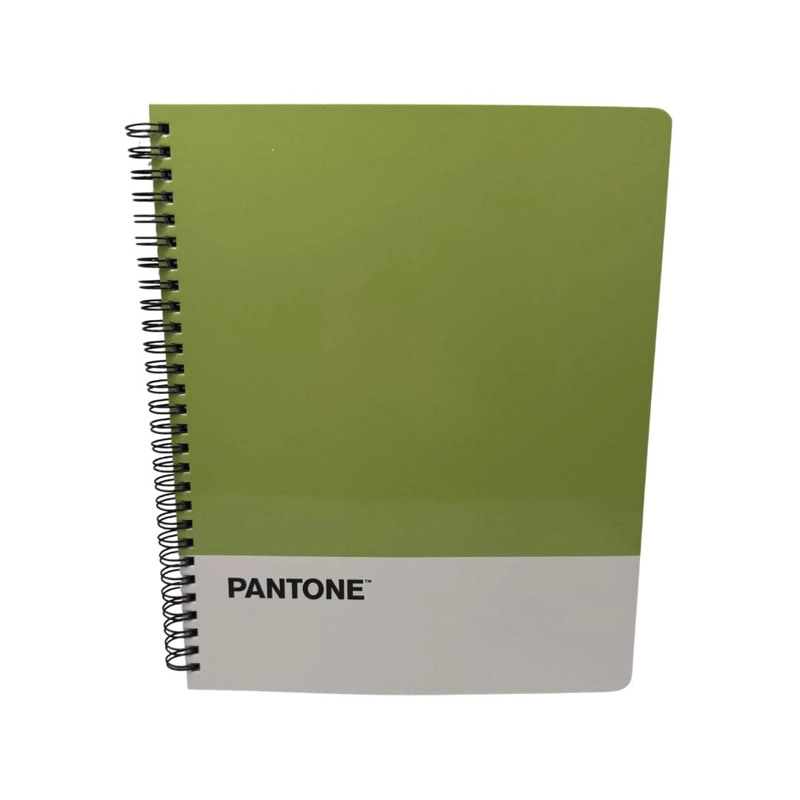 SET 10 CUADERNOS UNIVERSITARIOS 100 HOJAS CUADRICULADAS 7MM NATURE COLOR PANTONE - 5