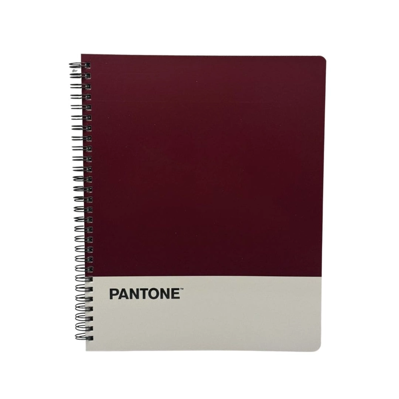 SET 10 CUADERNOS UNIVERSITARIOS 100 HOJAS CUADRICULADAS 7MM NATURE COLOR PANTONE - 6