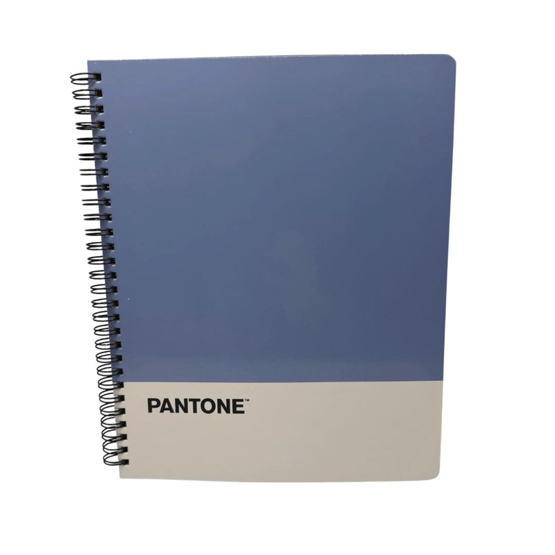 SET 10 CUADERNOS UNIVERSITARIOS 100 HOJAS CUADRICULADAS 7MM NATURE COLOR PANTONE - 7