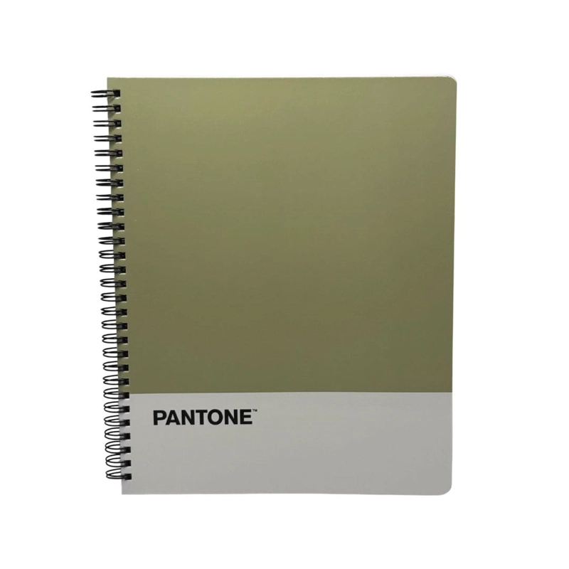 SET 10 CUADERNOS UNIVERSITARIOS 100 HOJAS CUADRICULADAS 7MM NATURE COLOR PANTONE - 8