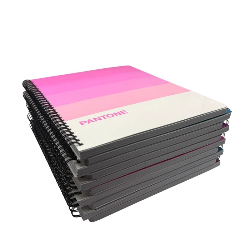 SET 10 CUADERNOS UNIVERSITARIOS 100 HOJAS CUADRICULADAS 7MM PANTONERA PANTONE - 1