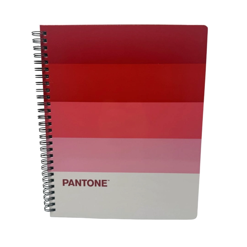 SET 10 CUADERNOS UNIVERSITARIOS 100 HOJAS CUADRICULADAS 7MM PANTONERA PANTONE - 4